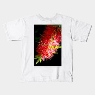 Red Callistemon Kids T-Shirt